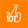 Радио 101.8